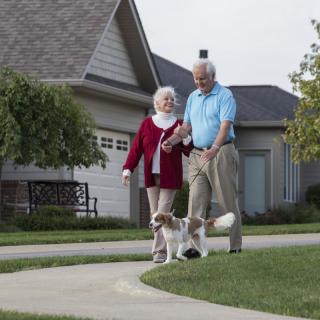 An elderly couple walking their dog in a suburban neighborhood.