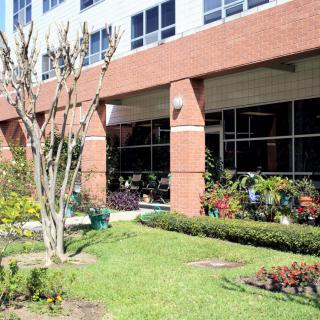 A brick building with a landscaped garden featuring trees and flowers in the sunlight.