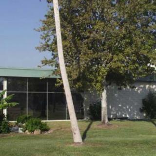 Carlton Shores Health And Rehabilitation Center
