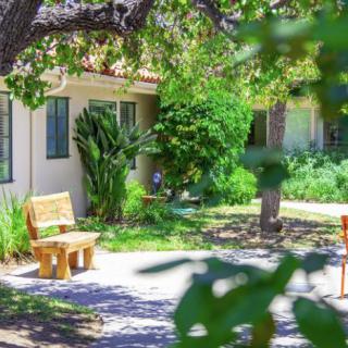 A serene garden area with benches under the shade of trees, surrounded by lush greenery and sunlight.