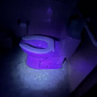A toilet illuminated by purple lighting in a dark bathroom.