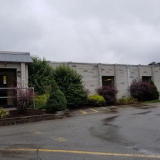 A weathered building surrounded by overgrown foliage on a rainy day.