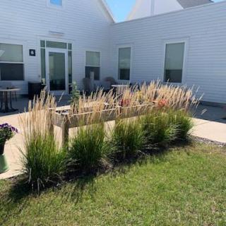 A modern outdoor space featuring a landscaped garden with tall grasses and a clean patio area.