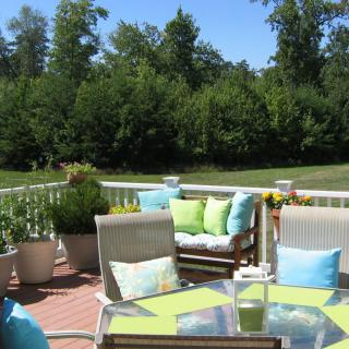A sunny backyard patio with comfortable seating and potted plants.