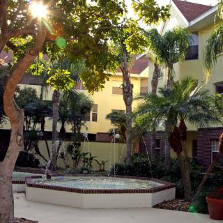 A serene courtyard with palm trees and sunlight casting shadows on the buildings.
