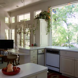 A modern kitchen space with large windows allowing ample natural light, featuring plants and sleek countertops.