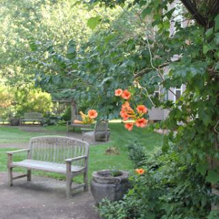 A tranquil garden scene featuring a wooden bench surrounded by vibrant flowers and lush greenery.