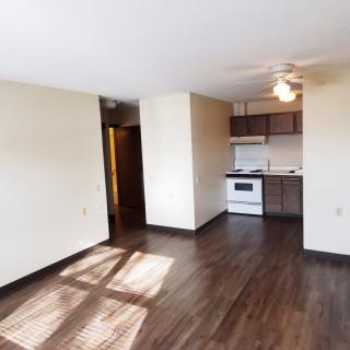 A bright, unfurnished apartment with an open kitchen and living area featuring hardwood floors.
