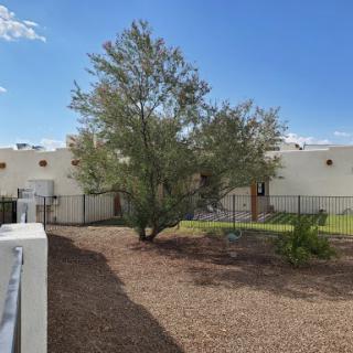 A peaceful backyard scene featuring a tree and a well-maintained garden against a clear blue sky.