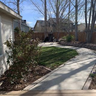 A quiet residential backyard featuring a curved concrete pathway, bordered by grass and trees.