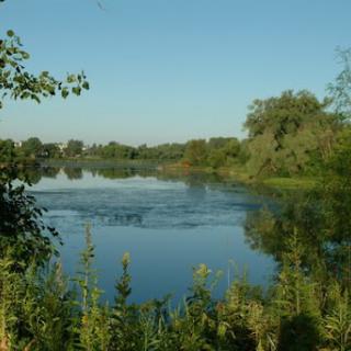 A serene view of a calm lake surrounded by lush greenery under a clear blue sky.