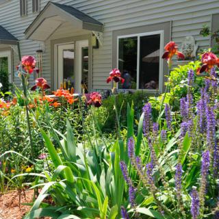 A vibrant garden with colorful flowers in front of a house.