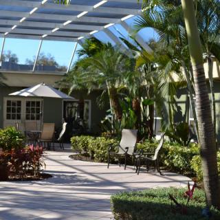 A sunny backyard patio with palm trees and outdoor furniture.