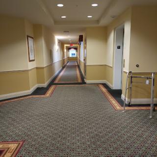 A well-lit hallway in a building featuring patterned carpet and doors on either side.