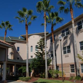 A sunny exterior view of a building surrounded by palm trees.