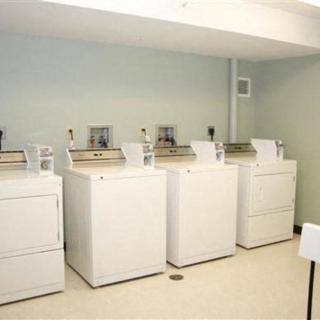 A clean and organized laundry room with multiple washing machines and dryers.