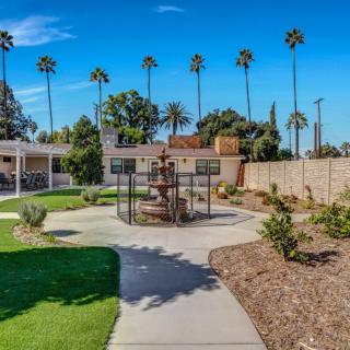 A sunny backyard garden with a pathway and palm trees.