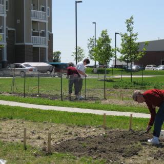 People working in a community garden in an urban area.