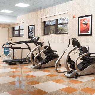 A gym featuring treadmills and elliptical machines.
