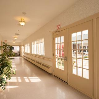 A sunlit hallway with large windows and double doors, adorned with plants.