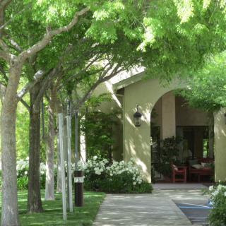 A serene pathway lined with lush trees leads to a building entrance.
