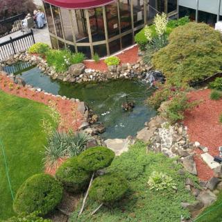 A beautifully landscaped garden with a pond and lush greenery surrounding it.