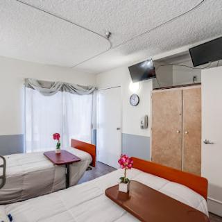 A bright and clean hospital room featuring two beds and a touch of decorative greenery.