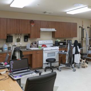 A veterinary clinic with a mix of medical and office equipment, including a computer and kitchen area.
