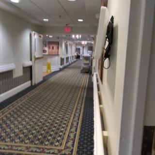 A well-lit hallway featuring patterned carpeting and walls, with doors leading to different rooms.