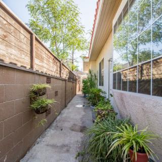 A narrow outdoor pathway lined with plants, adjacent to a house with large windows.