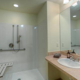 An accessible bathroom with a shower, handrails, and a sink area.