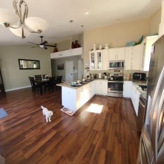A modern open-concept kitchen and dining area with hardwood floors and white cabinetry, featuring stainless steel appliances and a playful pet.