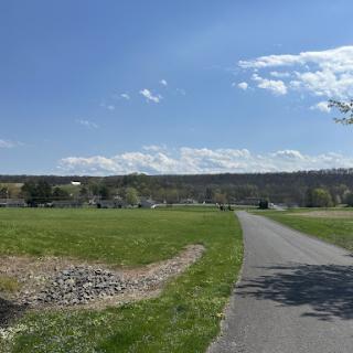A serene park scene featuring a winding pathway under a clear blue sky.