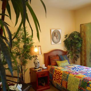 A cozy bedroom with indoor plants and colorful bedding.