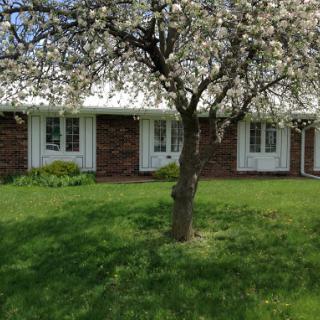A charming residential house surrounded by a lush green lawn and a flowering tree, capturing the essence of spring.