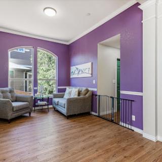 A bright and stylish living room featuring elegant purple walls and comfortable seating.