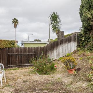 A backyard with a wooden fence, dry grass, and various plants including a potted one, under an overcast sky.