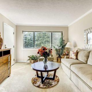 A cozy living room with a sofa, coffee table, and large window offering natural light.