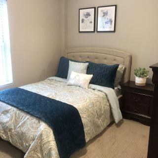 A cozy bedroom with a neatly made bed, featuring decorative pillows and a blue comforter, complemented by framed wall art and a bedside table with a plant.