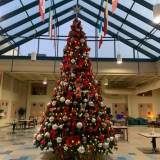 A beautifully decorated Christmas tree stands tall in a festive indoor setting.