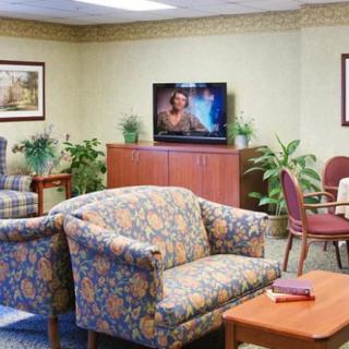 A cozy waiting area featuring comfortable sofas, chairs, a coffee table, and a television, adorned with indoor plants and soft lighting.