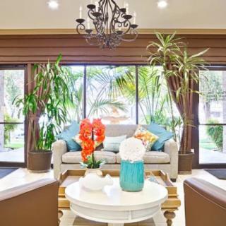 A beautifully designed living room with large windows, lush plants, and elegant decor.