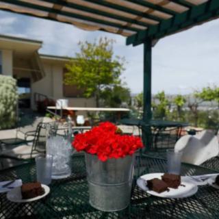 A sunny patio with a table set for dessert, featuring red flowers, cake slices, and water.