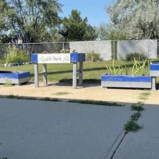Outdoor seating area with benches and plants in a park setting.