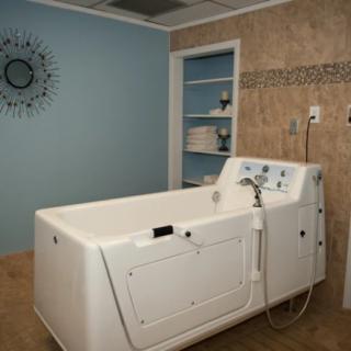A spa-like bathroom with a modern walk-in bathtub.
