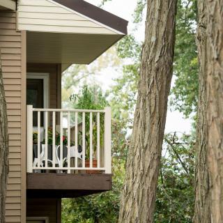 A cozy balcony surrounded by tall trees, offering a serene view of nature.