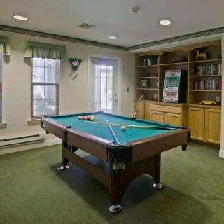 A cozy game room featuring a pool table and wooden shelves against the wall.