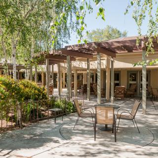 A tranquil outdoor patio area with tables, chairs, and a pergola amidst lush greenery.