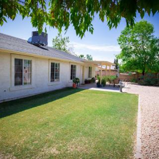 A sunny day in a residential backyard with a well-maintained lawn and trees.