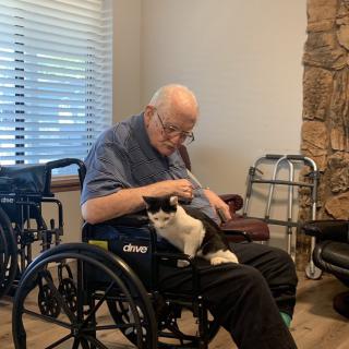 An elderly man in a wheelchair petting a cat indoors.